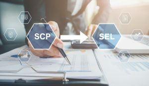 SCP en SEL commissaire à la transformation